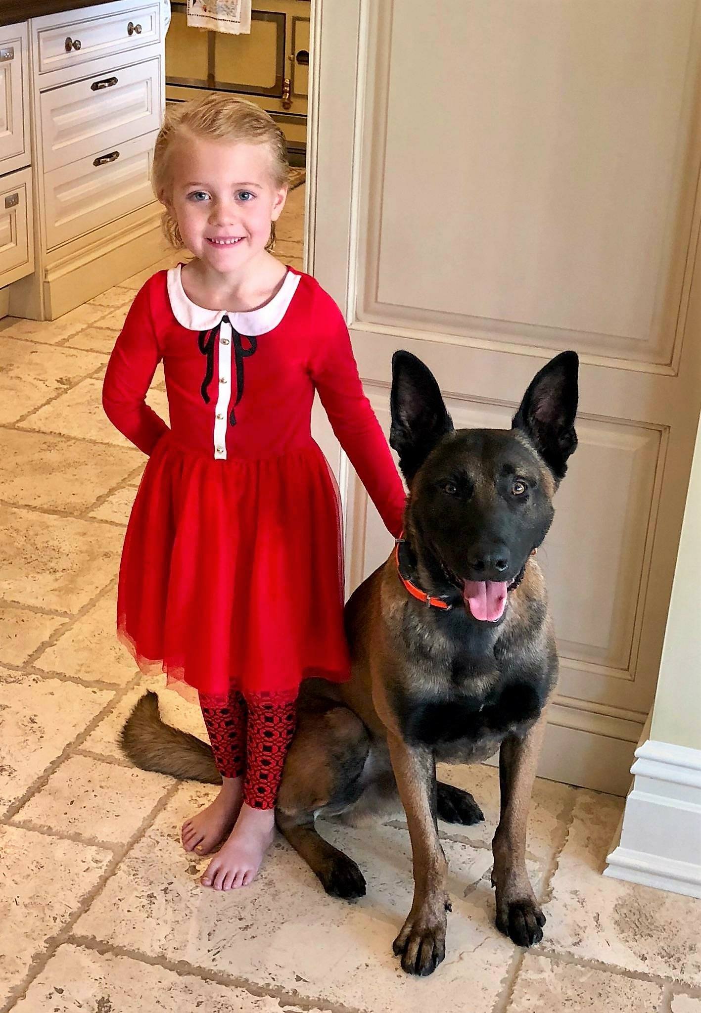 best guard dog for children