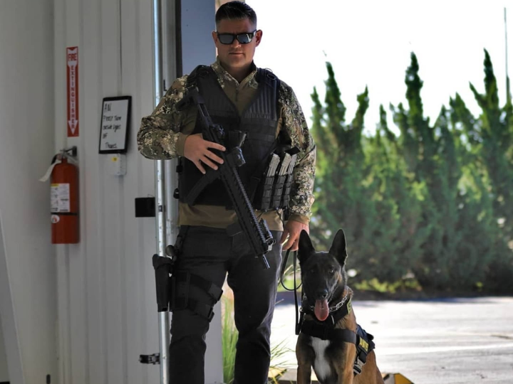 Why Belgian Malinois Are Now the Go-To Breed for Police K9s