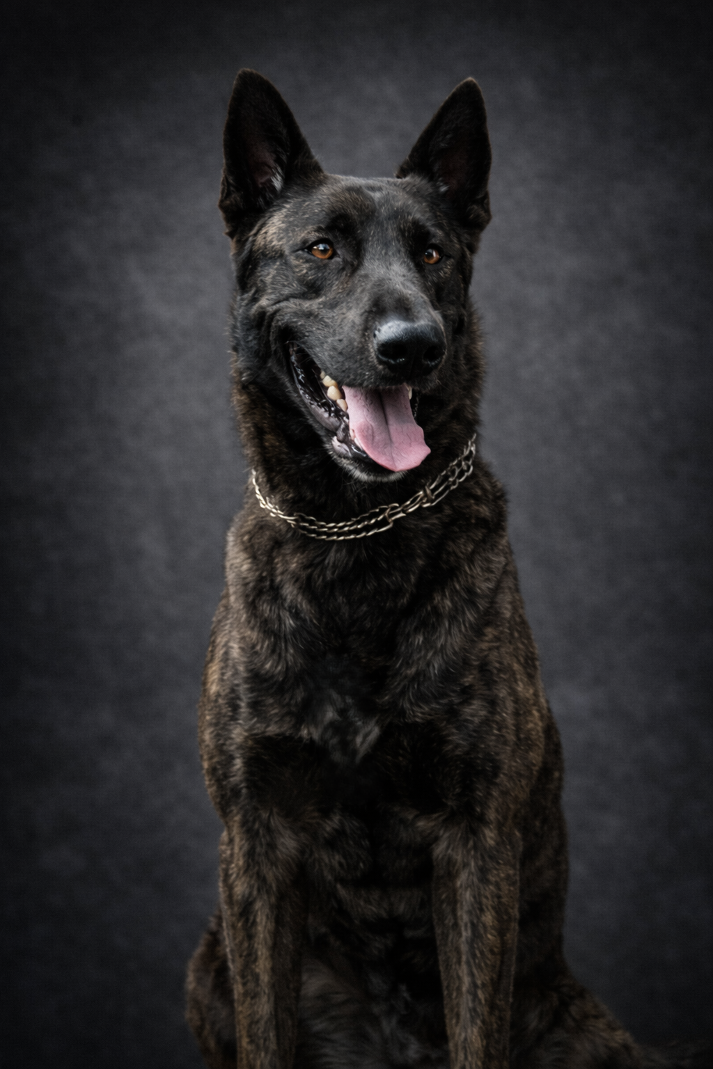 chatgpt-image-mar-10-2026-12_35_06-pm.png photo