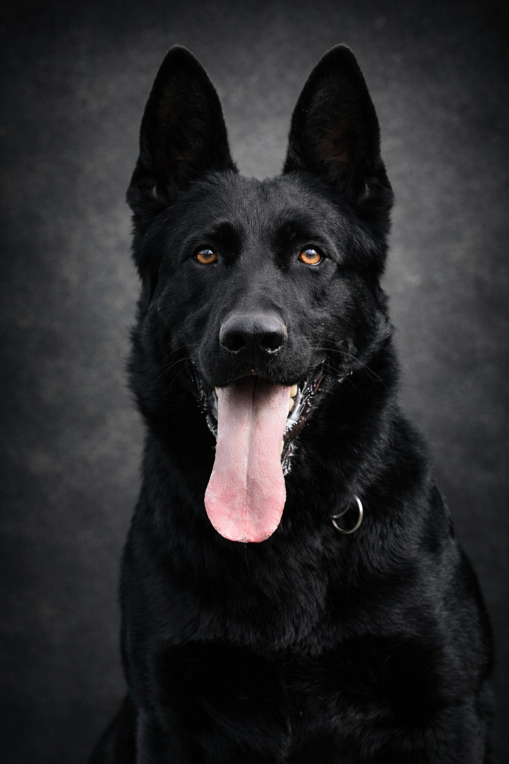 Jax $125,000