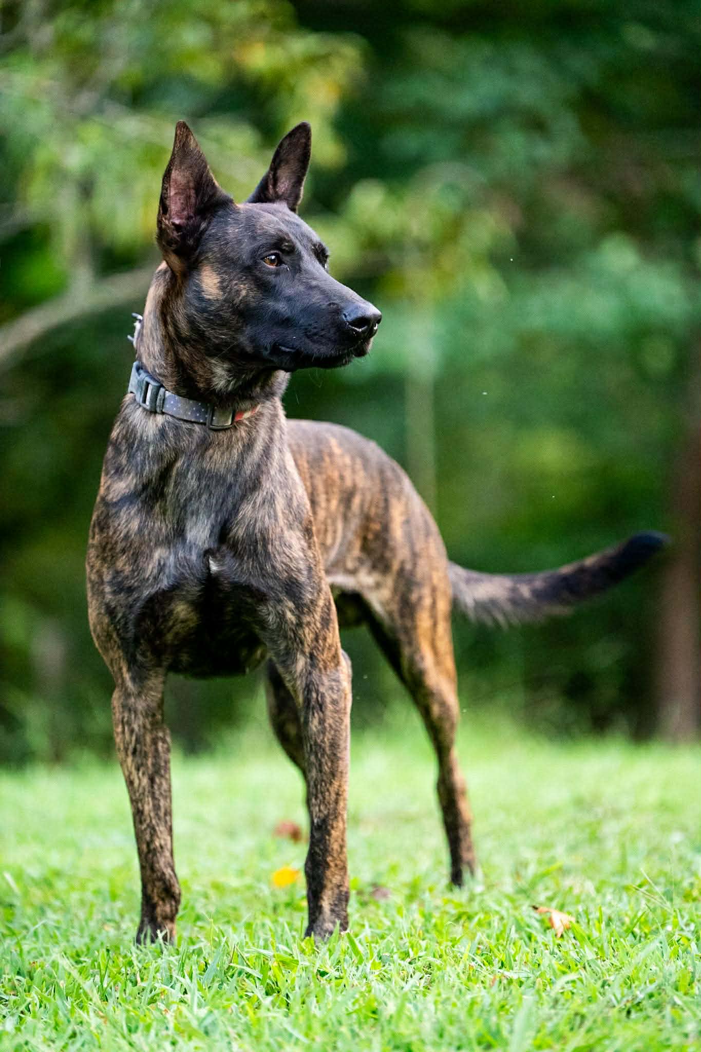 whatsapp-image-2025-12-27-at-4.02.21-pm.jpeg photo