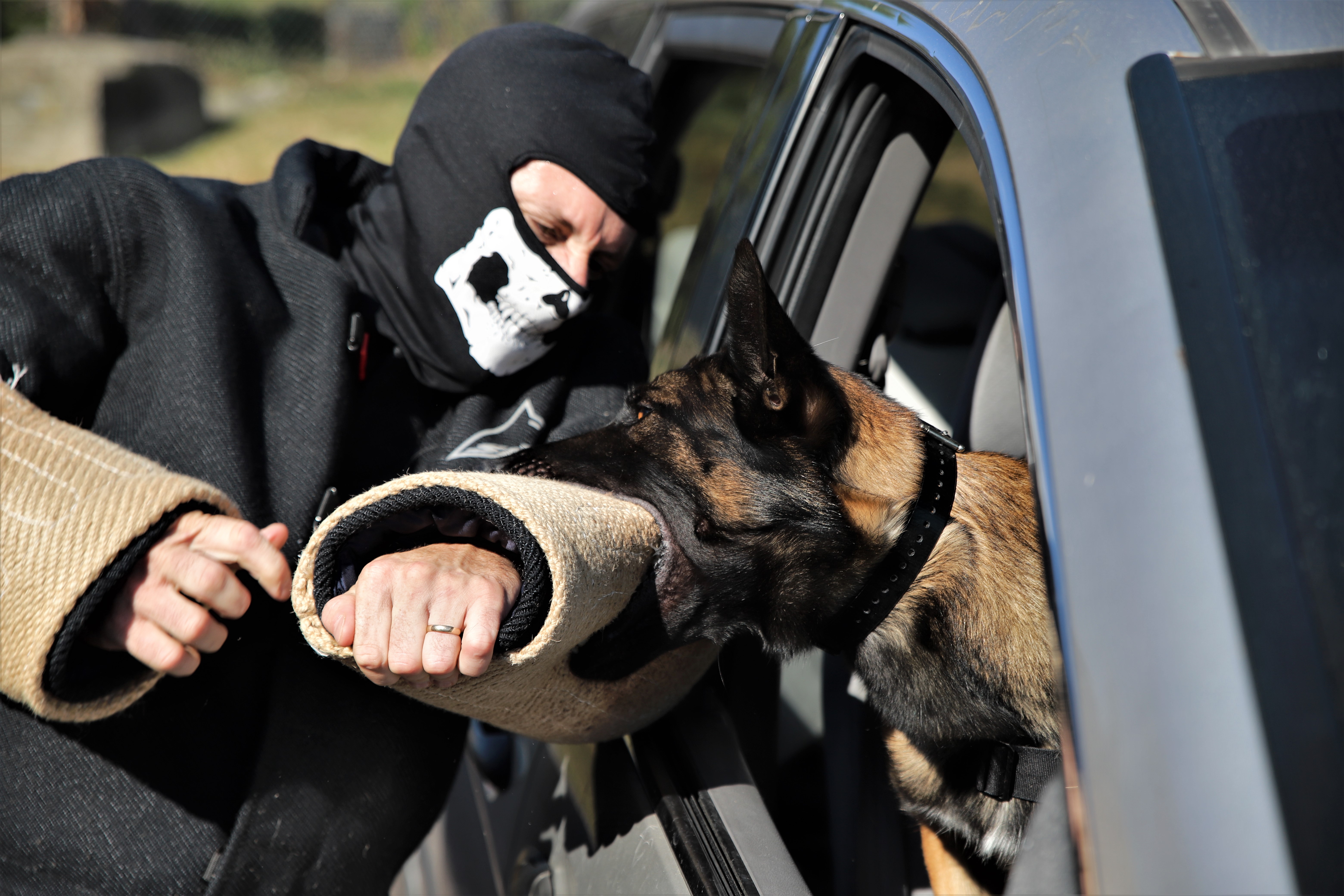 Elite Protection in Motion