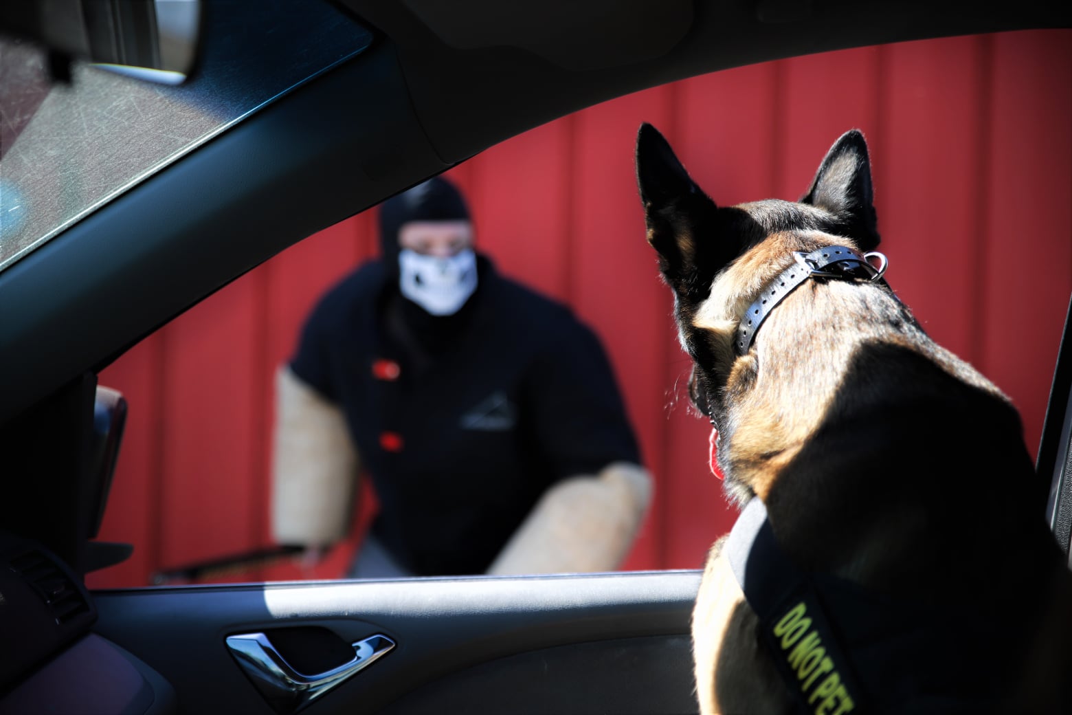 We Don't Train Just Any Dog — We Select the Best