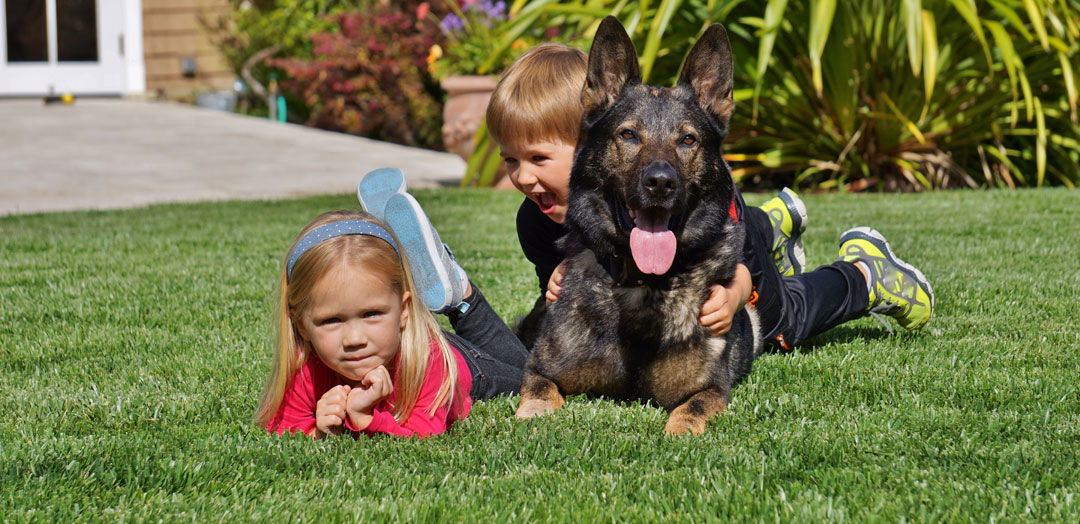 Safe with Children. Fierce When It Counts.